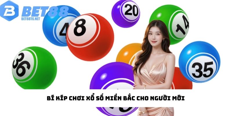 Bí kíp chơi xổ số miền Bắc cho người mới