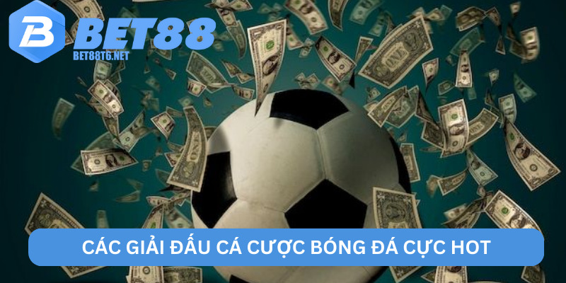 Các giải đấu cá cược bóng đá cực hot