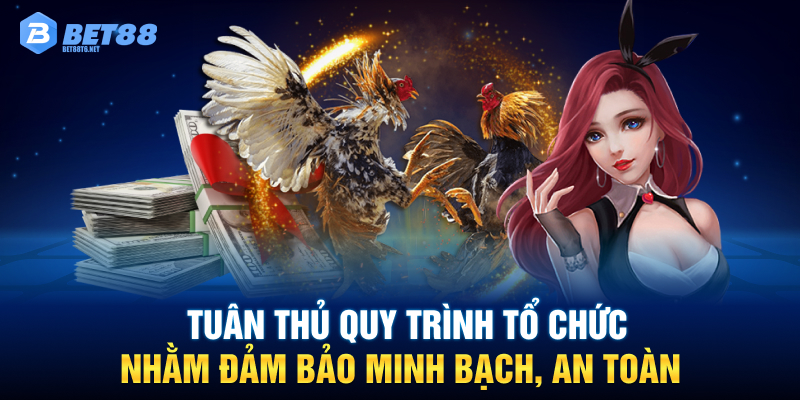 Tuân thủ quy trình tổ chức nhằm đảm bảo minh bạch, an toàn